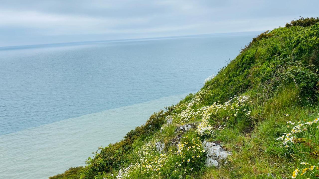 Gordy Hall -Sea Facing Welsh Cottage With Stunning Views Pendine Ngoại thất bức ảnh