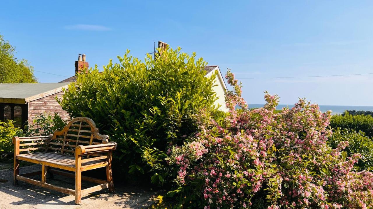 Gordy Hall -Sea Facing Welsh Cottage With Stunning Views Pendine Ngoại thất bức ảnh